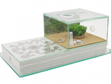 Ytongnest - 40x20 with arena